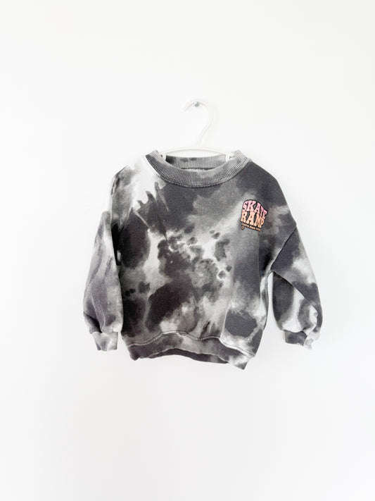 Zara Skate crewneck Size: 18-24 month